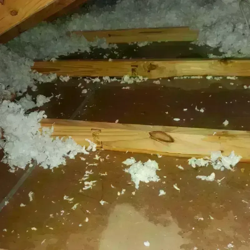 Attic Water Damage in Jerseyville, IL