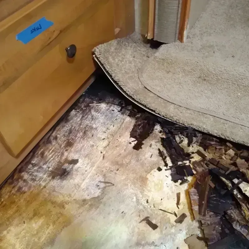 Wood Floor Water Damage in Jerseyville, IL